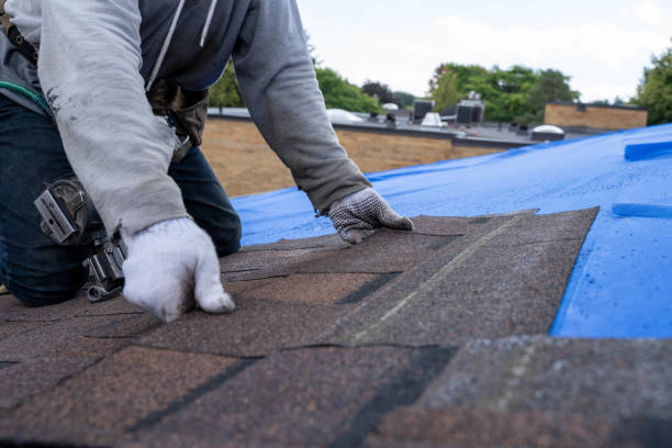 Best Commercial Roofing Services  in Pittsburg, TX