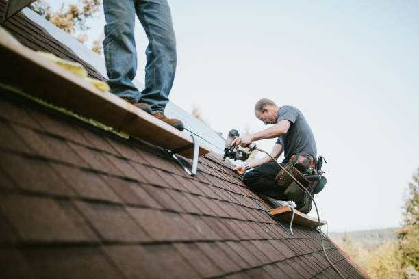 Best Storm Damage Roof Repair  in Pittsburg, TX